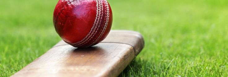 Best Places to Play Cricket in Baliawas,Gurgaon