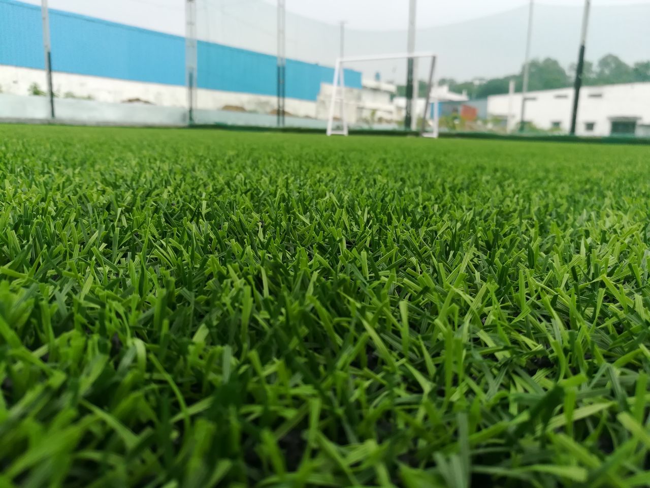 New Turf Launch in Hyderabad “THE PITCH”